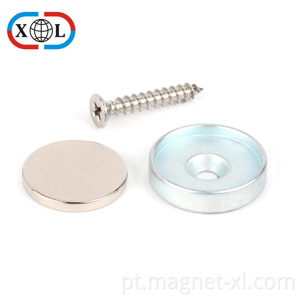 Magnet Assemblies with Screw